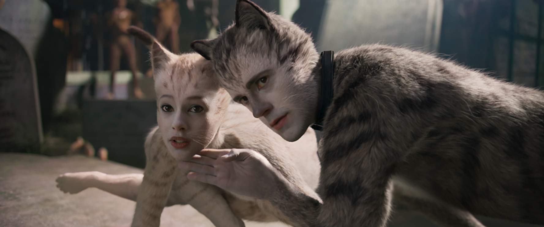 REVIEW: Cats